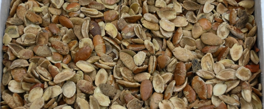 2024-01-07-659a885941095